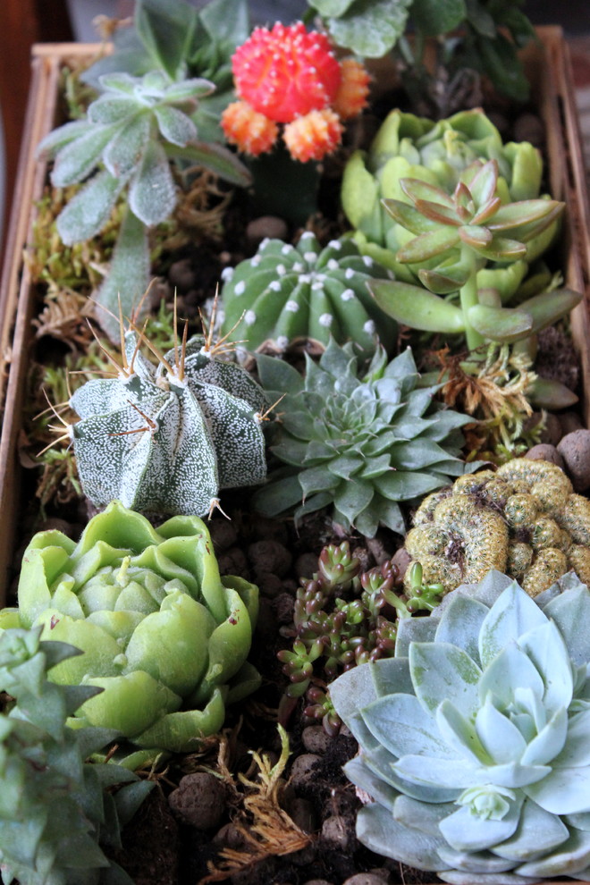 HUIANER 20 alberi di fiori in miniatura, senza base, per fai da te