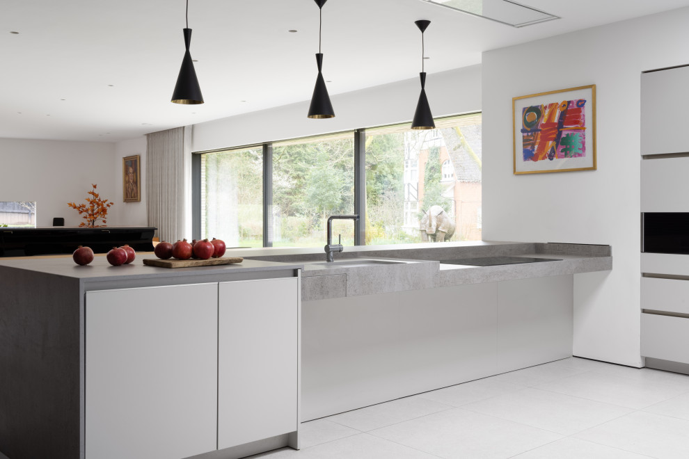 Design ideas for a large contemporary kitchen/diner in Hampshire with flat-panel cabinets and an island.