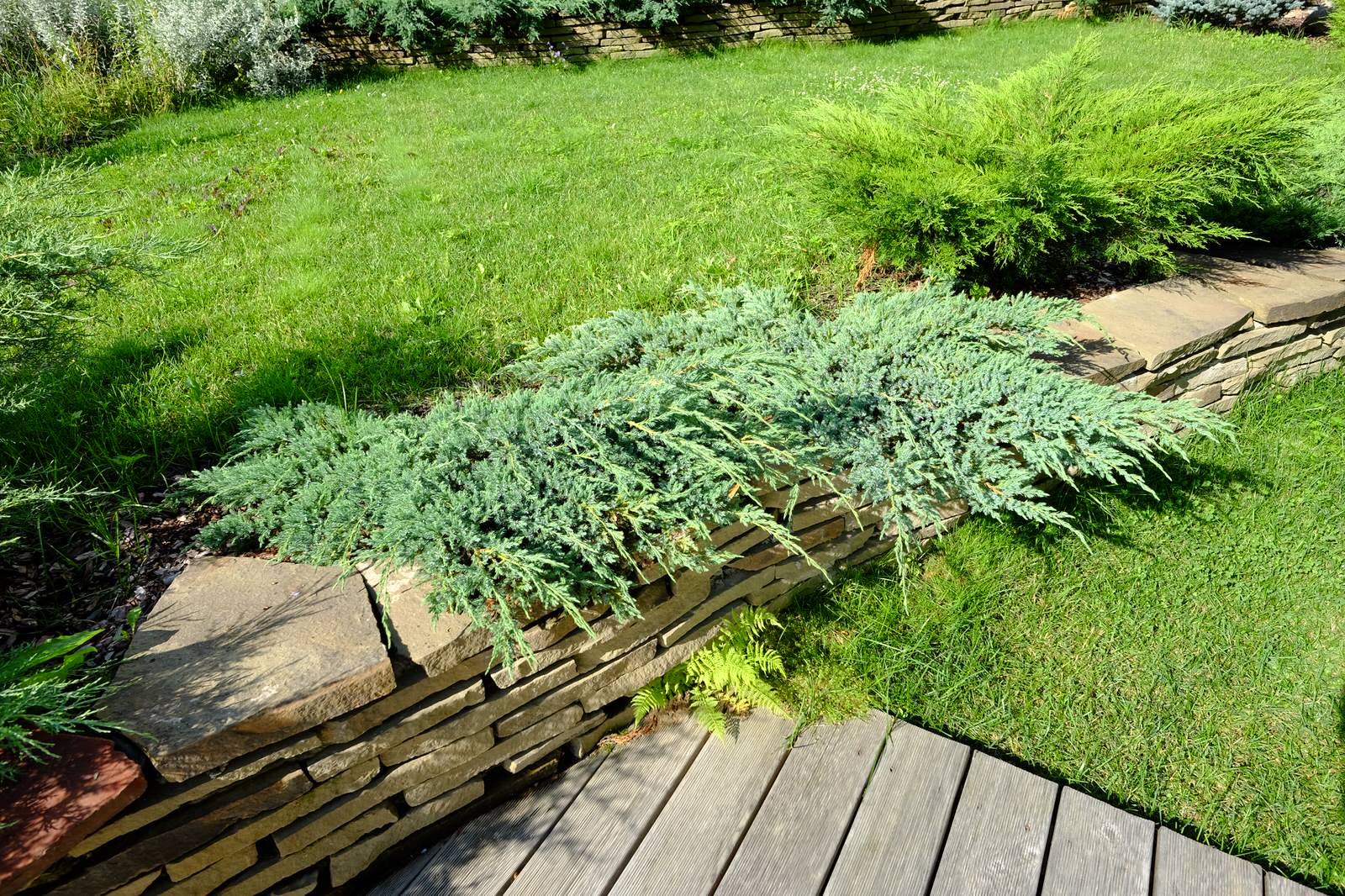 Зеркальный Ландшафтное проектирование