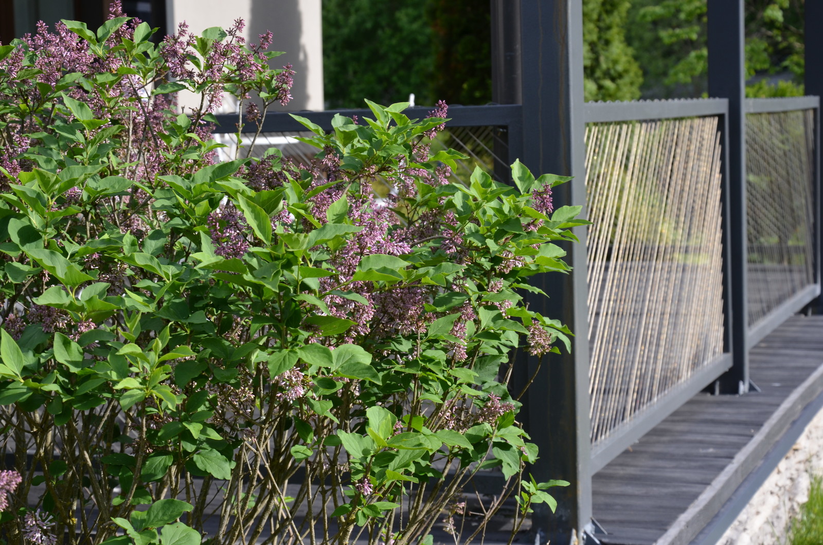 Вспоминая Нормандию КП Визендорф 2017 г