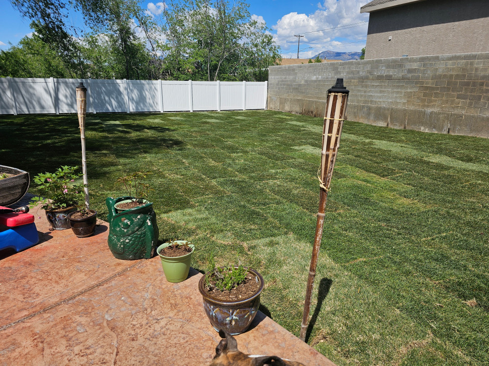 Backyard Transformation