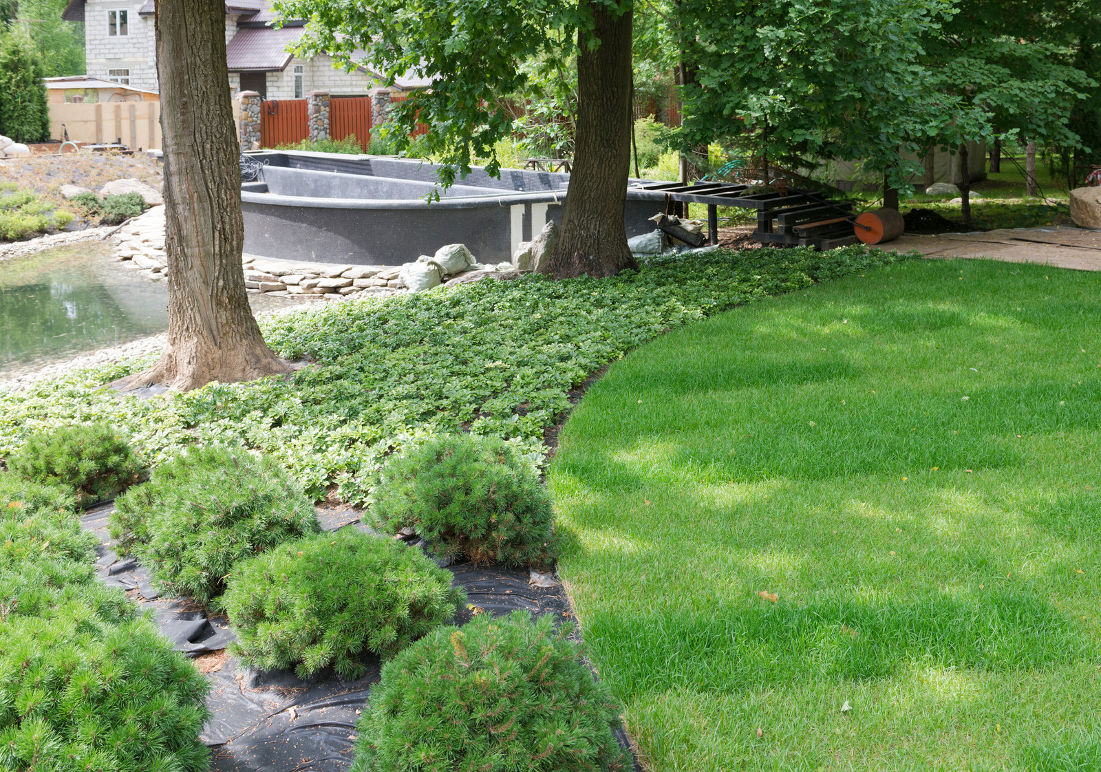 Бионический дом