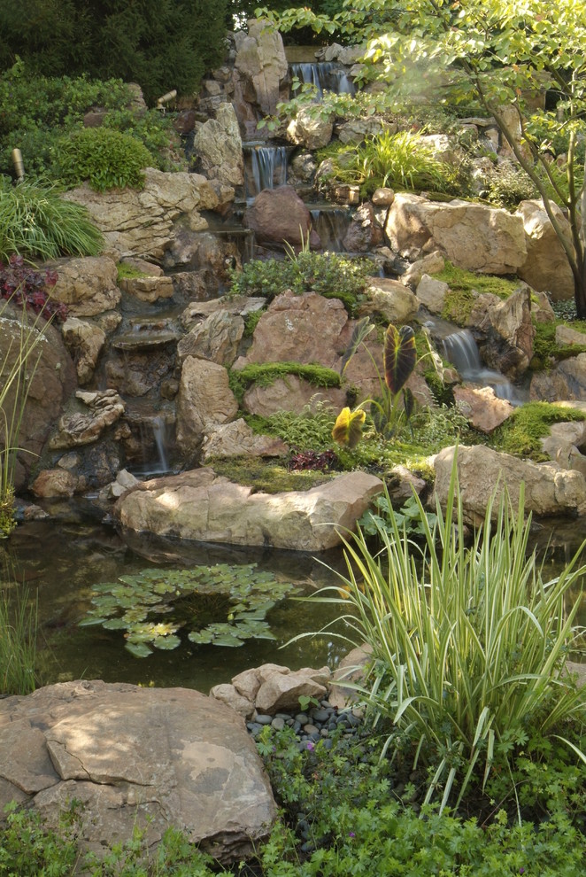 Photo of a mid-sized rustic partial sun backyard pond in Grand Rapids.