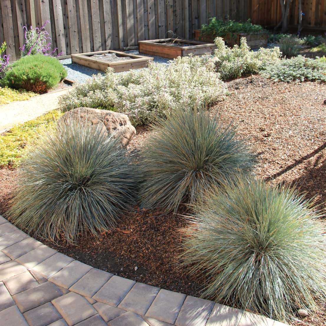 Vivide colors garden