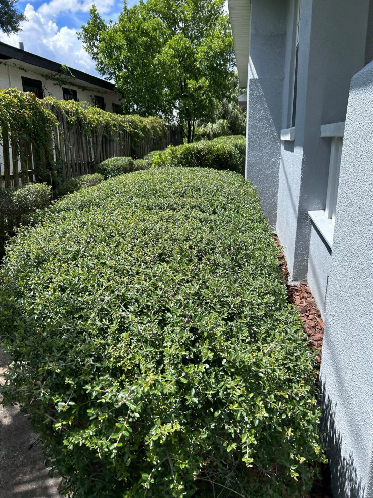 Law Office Landscape Revamp and Design