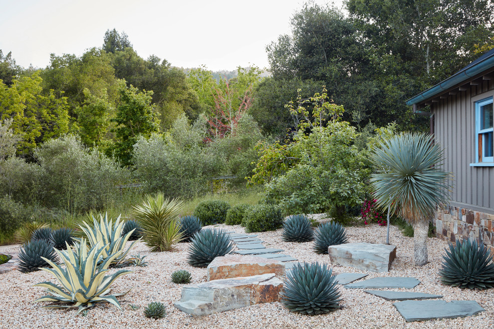 Inspiration for a mid-sized country backyard full sun xeriscape for winter in San Francisco with gravel.