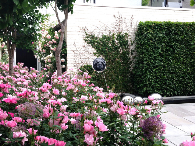 Contemporary Urban Garden contemporary-garden