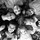 kelly_wright5111835