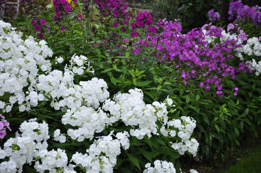 д. Косово - Уход за садом - 100% качество