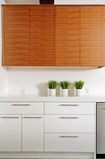 Kitchen Cabinets contemporaneo-cucina