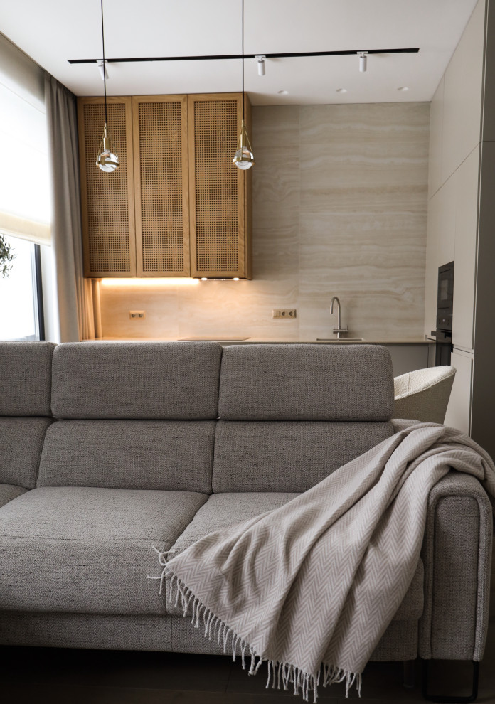 гостиная кухня студия