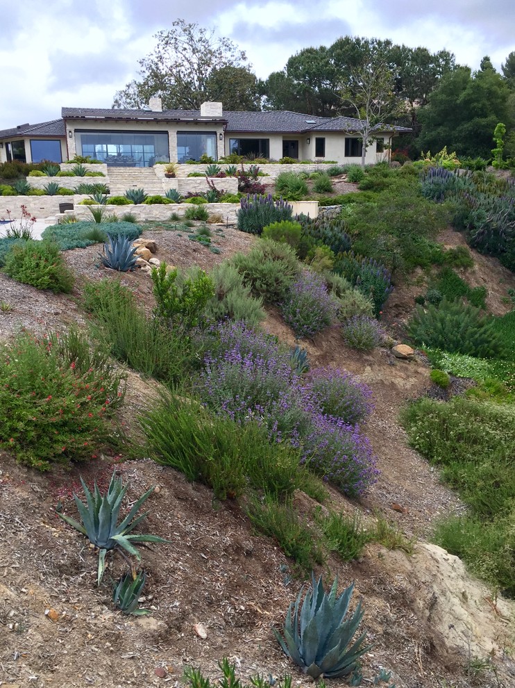 This is an example of an expansive contemporary sloped full sun xeriscape in San Diego with mulch.