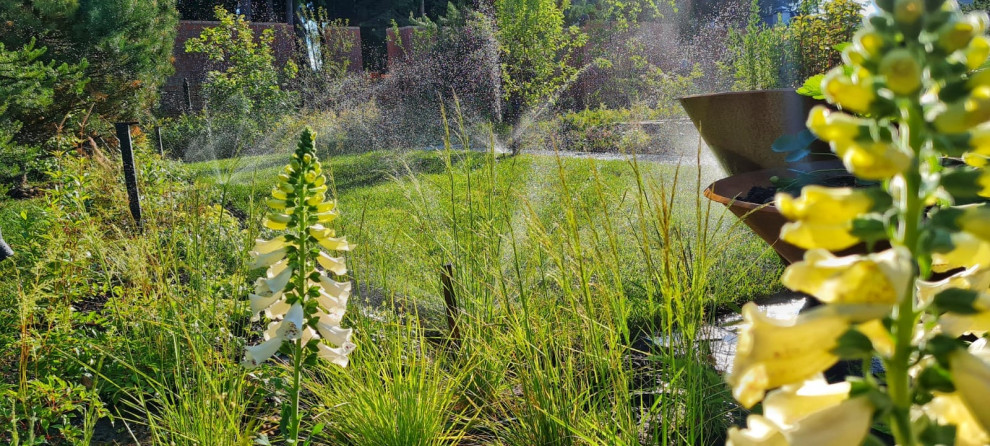 Landscape design of the territory (Moscow region)