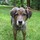 rebecca_mueller6266095