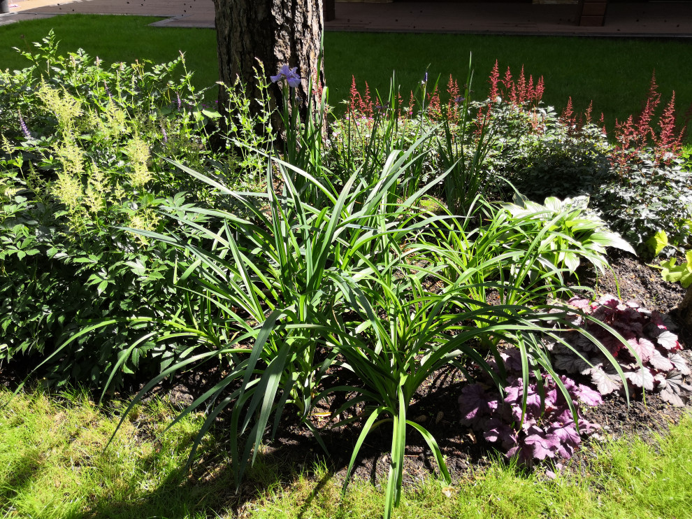 12 сот в лесу