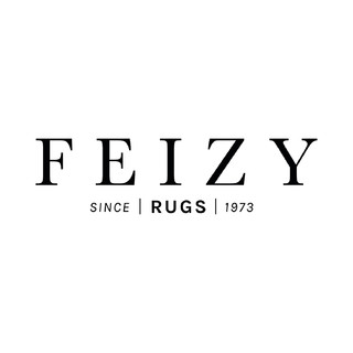 Feizy Rugs Project Photos Reviews