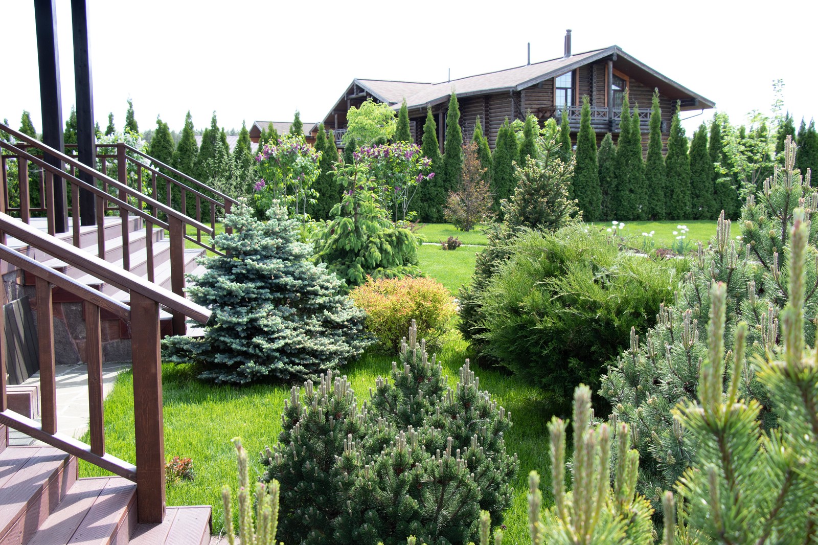 Сосновые берега