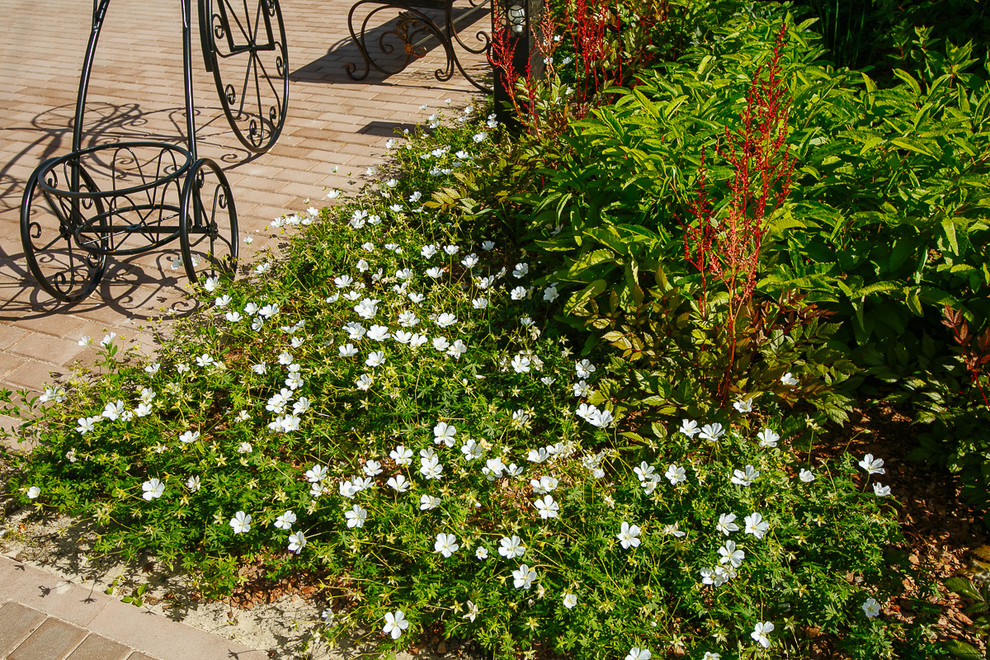 Времена года в саду "Красный октябрь"