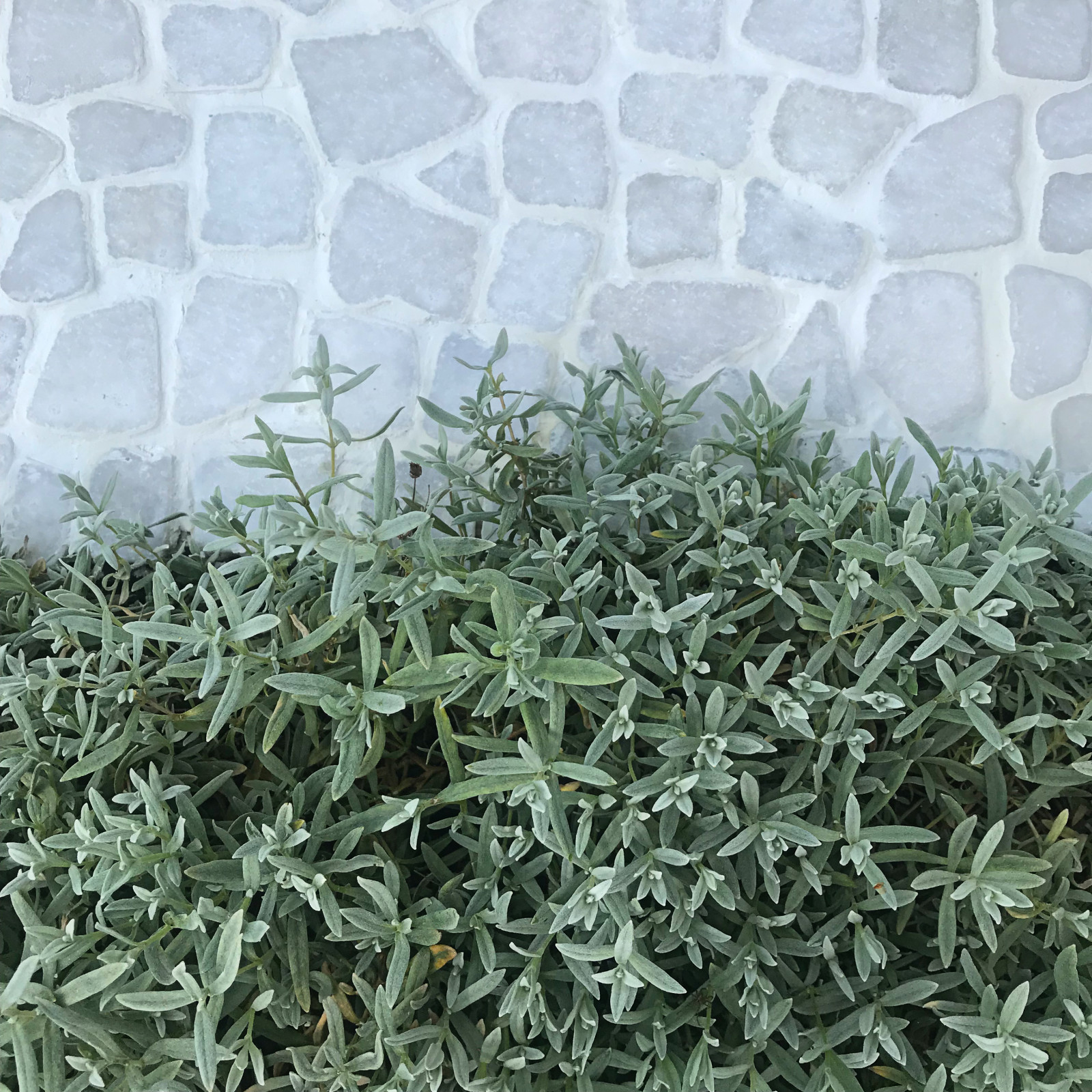 КП Лисавино