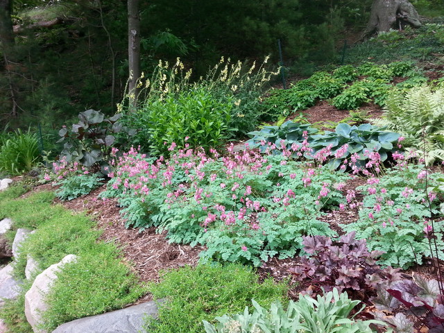 Duneside Shade Garden maritimt-have