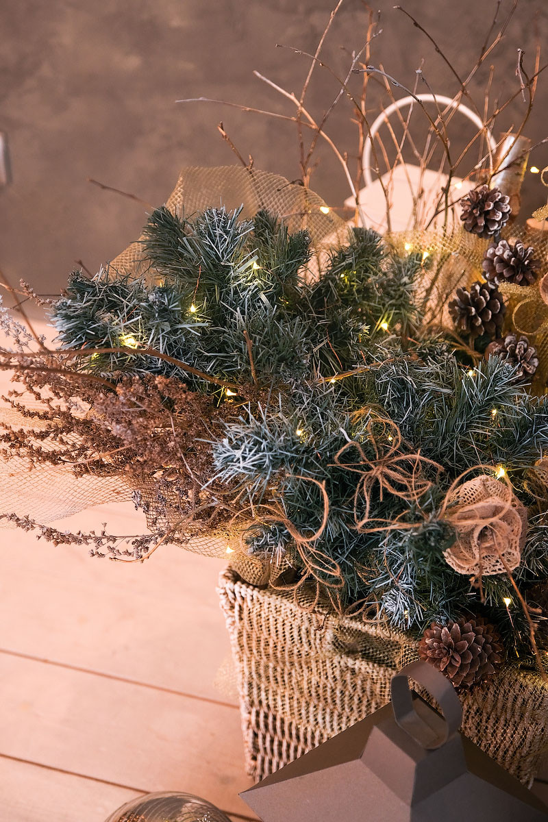 Фотостудия "Хвоя"