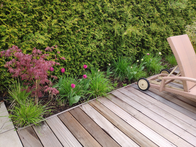 Rasen-Frei contemporaneo-giardino