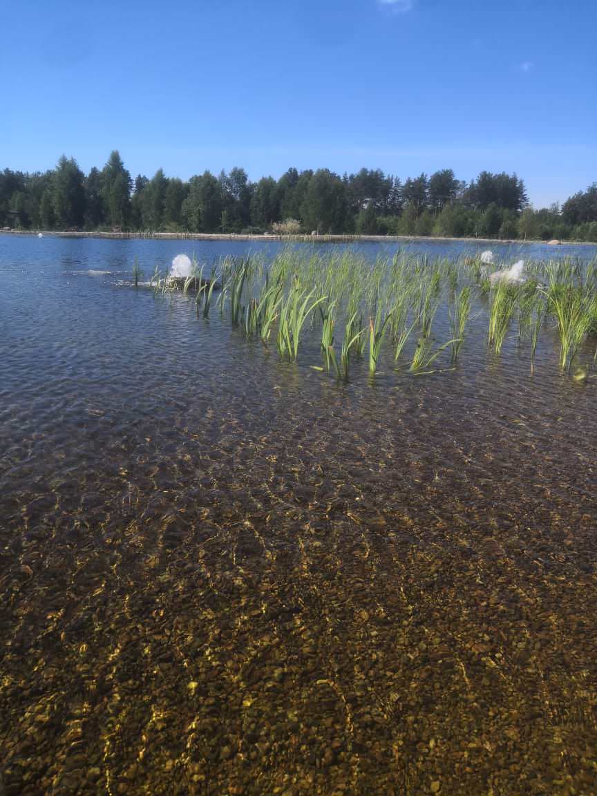 Декоративный водоём в п. Репино (Лен. обл.)