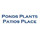PONDS PLANTS PATIOS PLACE