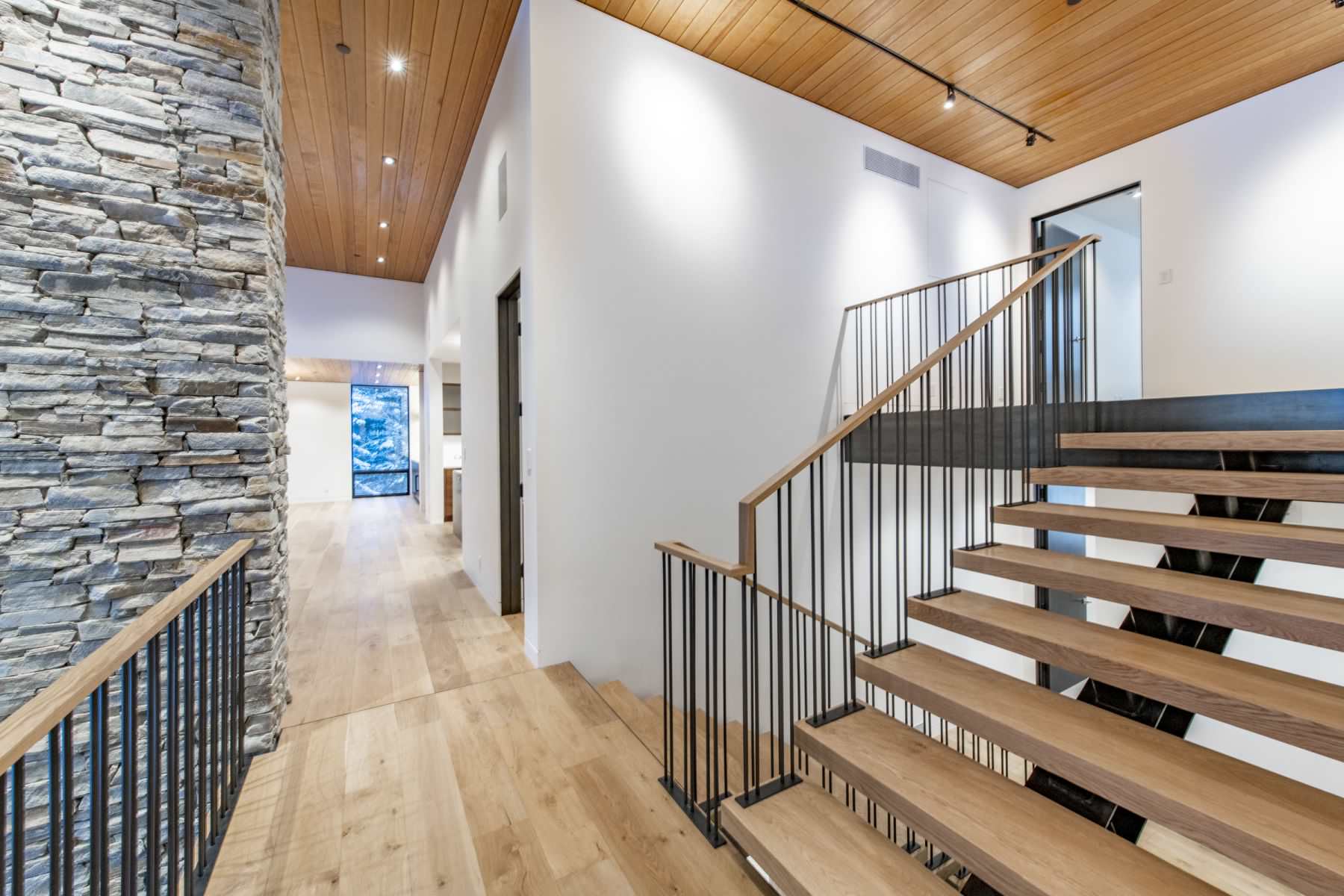 Park Meadows Modern Dream