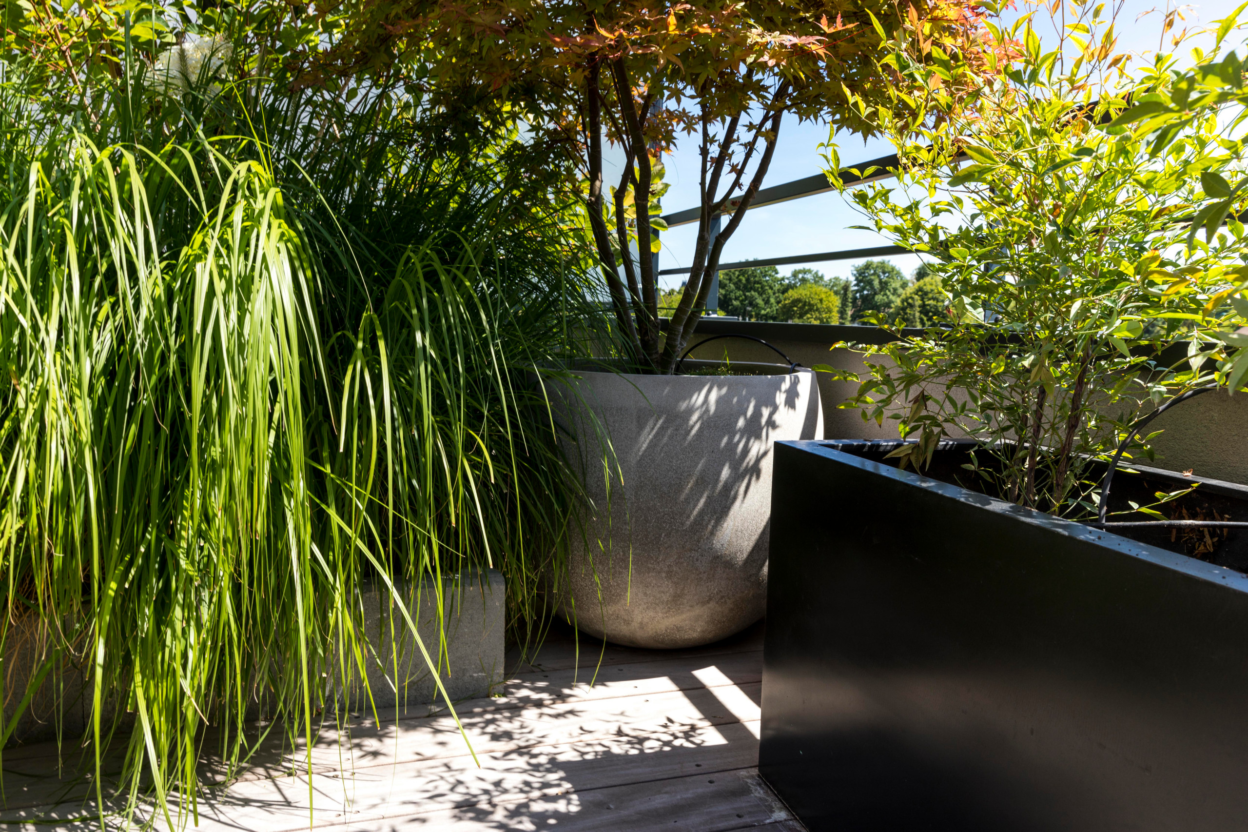 une terrasse foisonnante!
