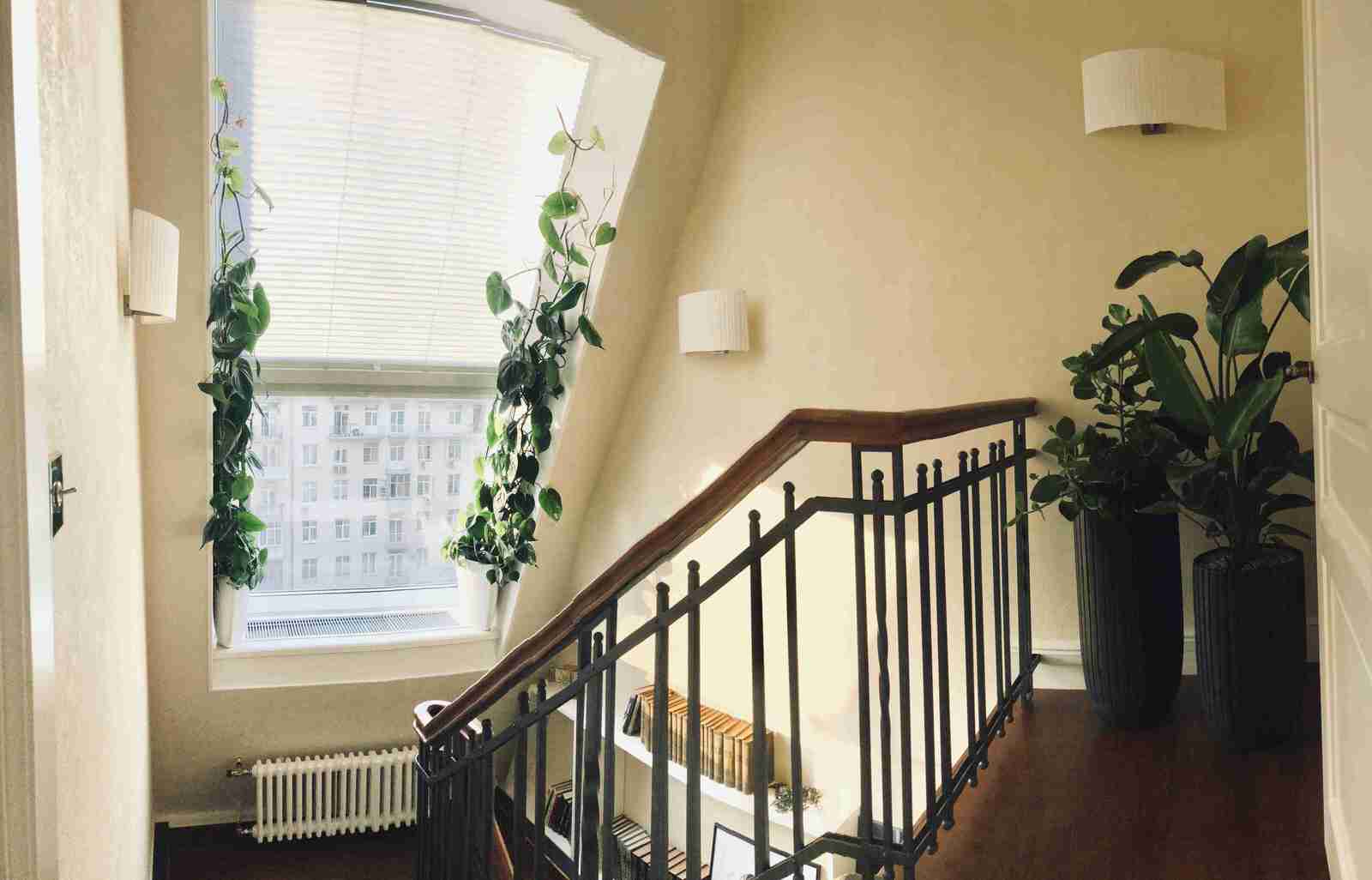 Пент Хаус 240 кв.м.