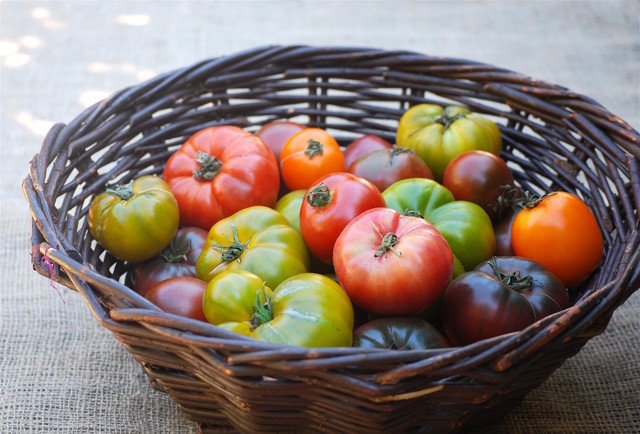 10 Delicious Heirloom Tomatoes to Grow This Summer