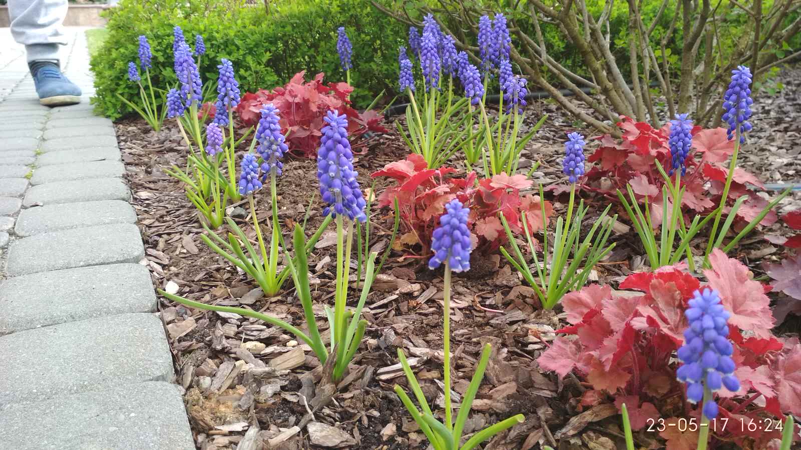 кп "Мартемьяново" - Профессиональный уход за садом - 100% качество!