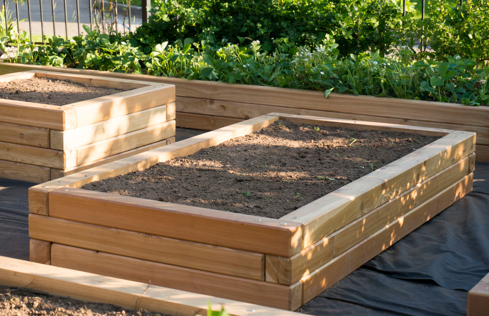 Грядки из лиственницы