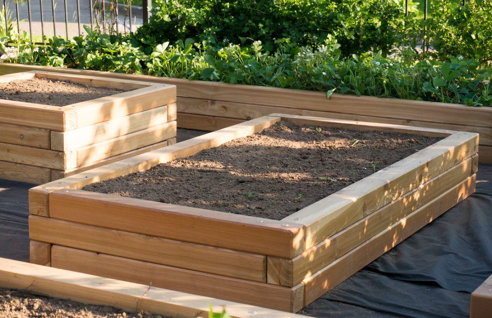 Грядки из лиственницы