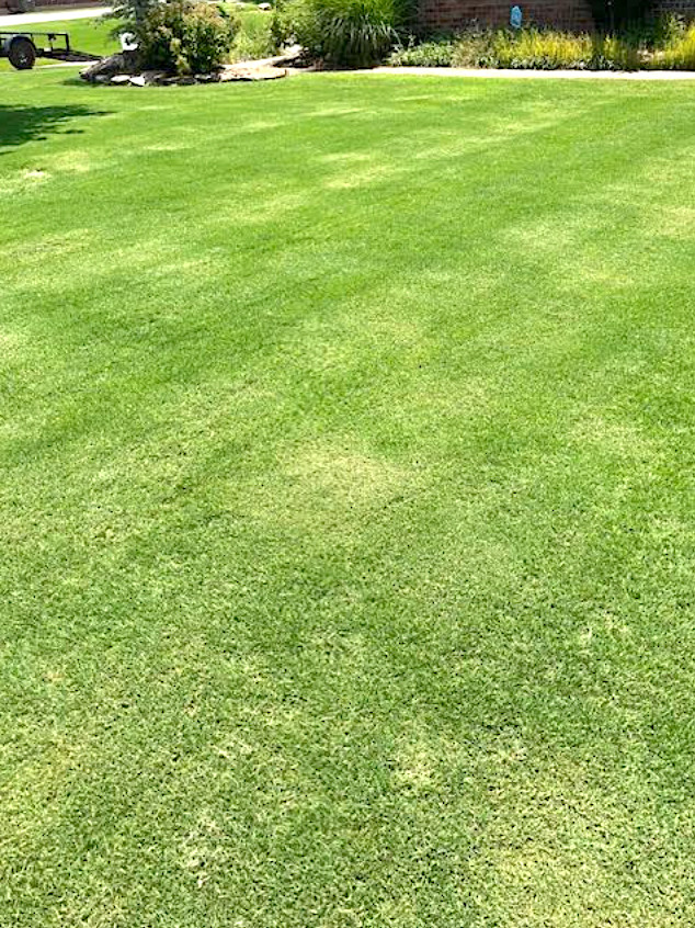 Lawncare