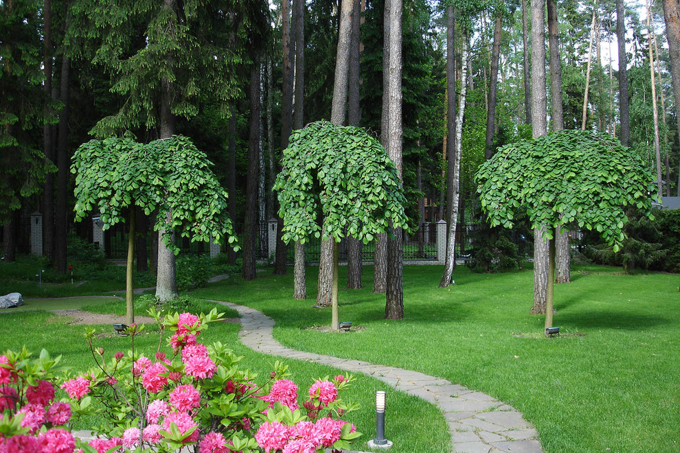 Сад с водоемом в КП " Сосновый Бор"