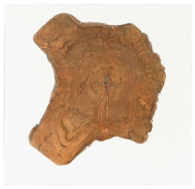 Teak and White Resin Wall Decor Rustic Wall Accents by Best Home