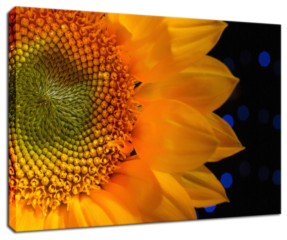 Close-up Sunflower Floral Nature Photo Canvas Wall Art Print, 24" X 36"