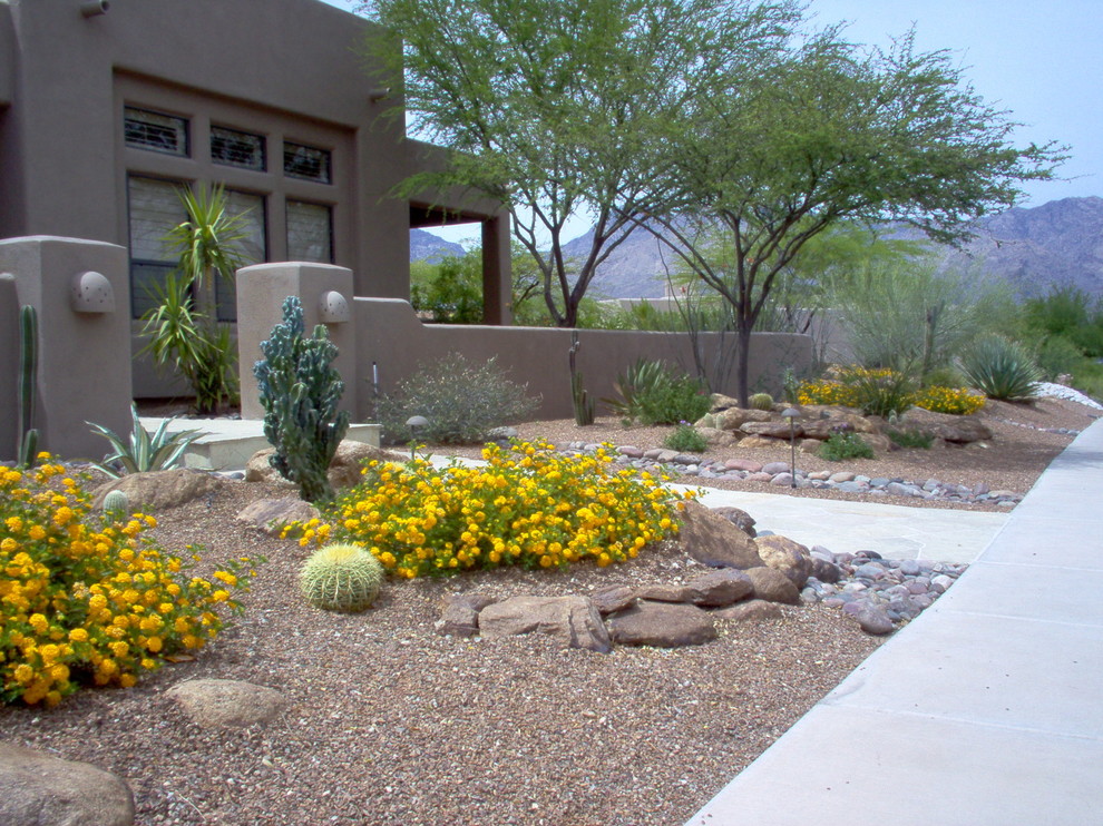 Sabino Mt - Southwestern - Landscape - Phoenix - by Terra Designs, Inc