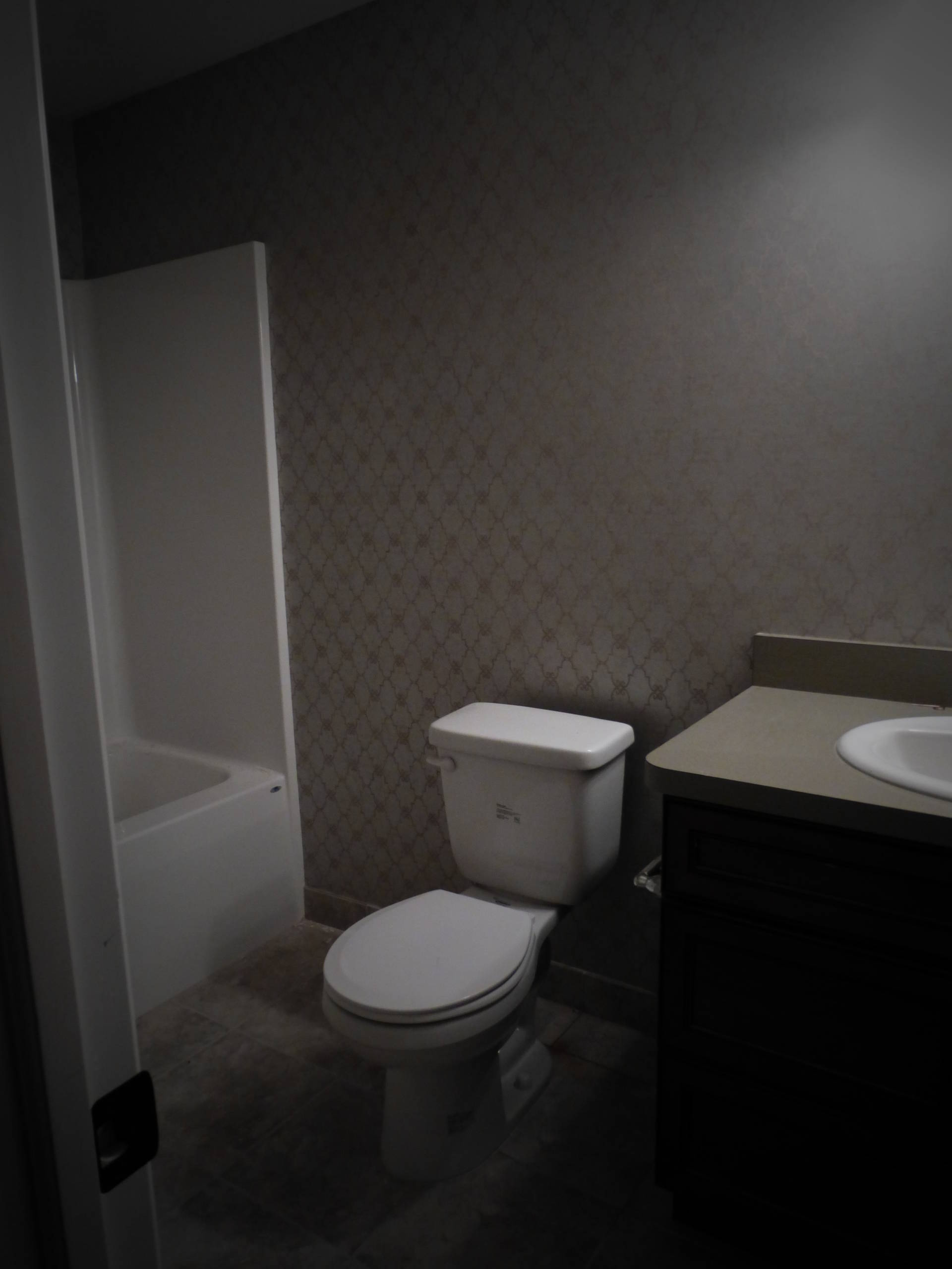 Wallpaper Install: Guenther-Adrian Model Home