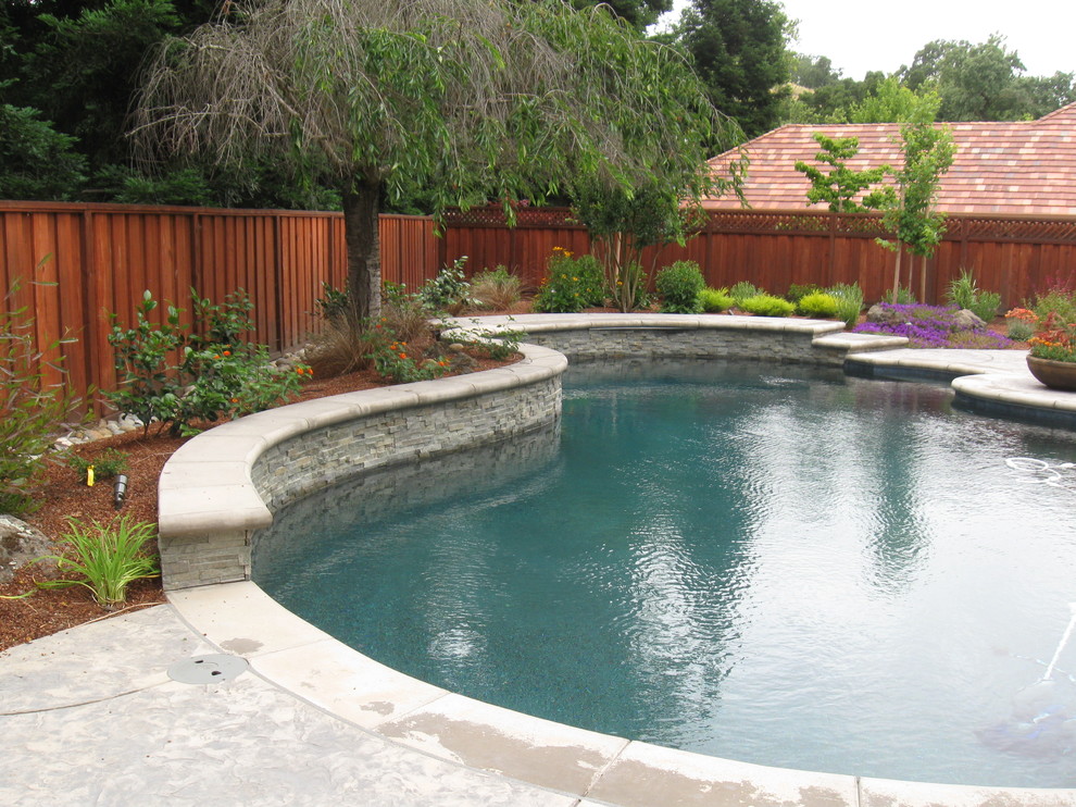 Complete Backyard and Pool Remodel