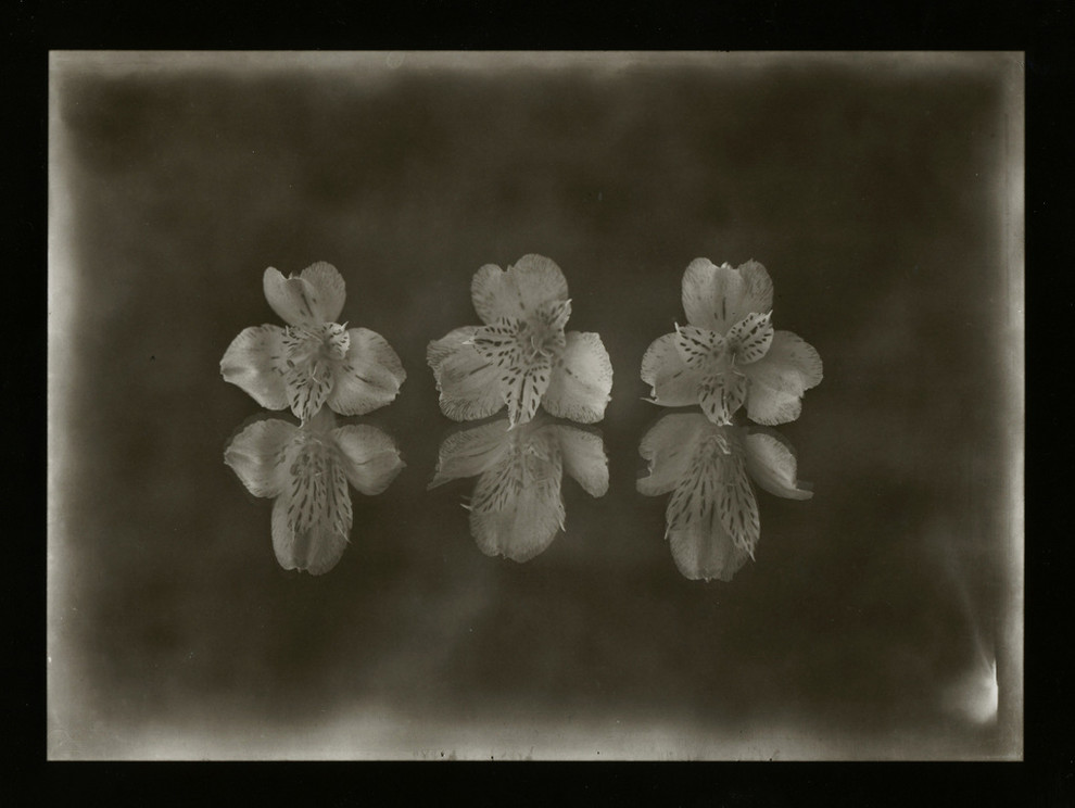 Авторские работы