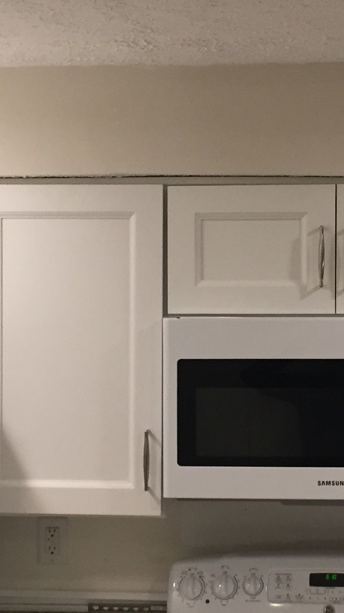 New with an uneven fur down