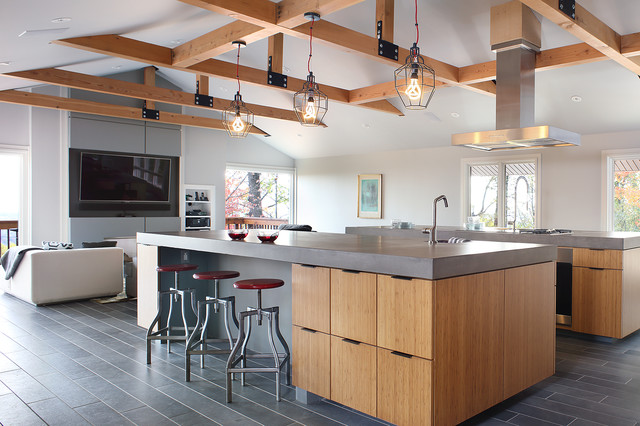Modern Kitchen contemporary-kitchen