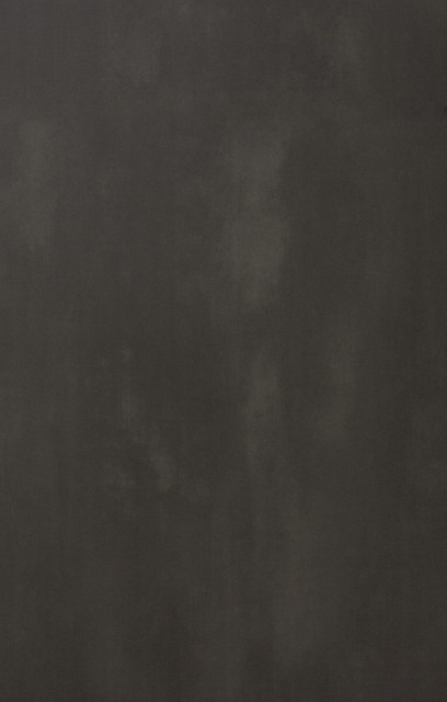 Dark Steel contemporary-kitchen