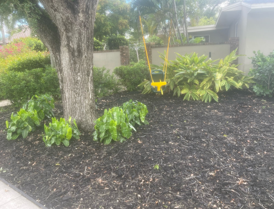 Creating Curb Appeal