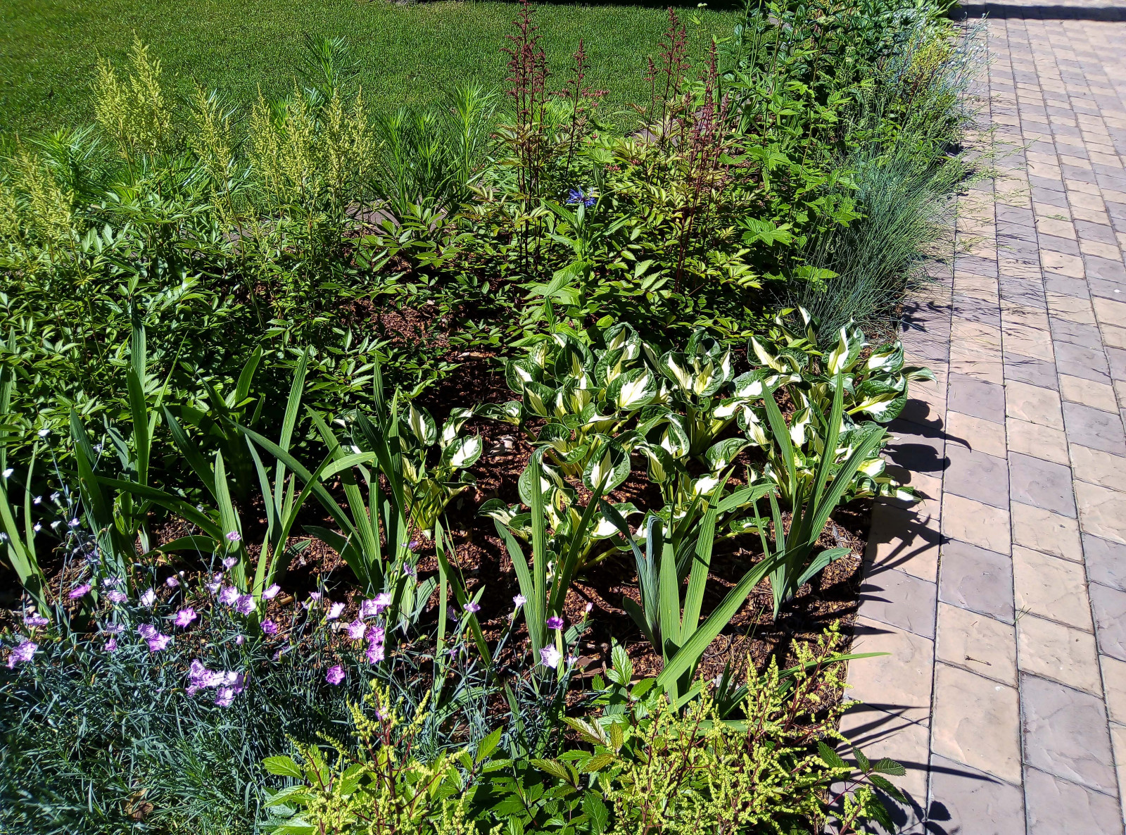 Цветники под пологом леса