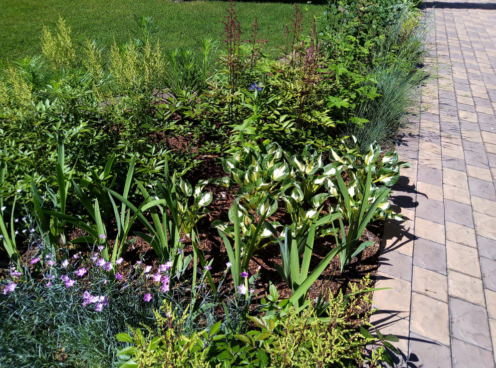 Цветники под пологом леса