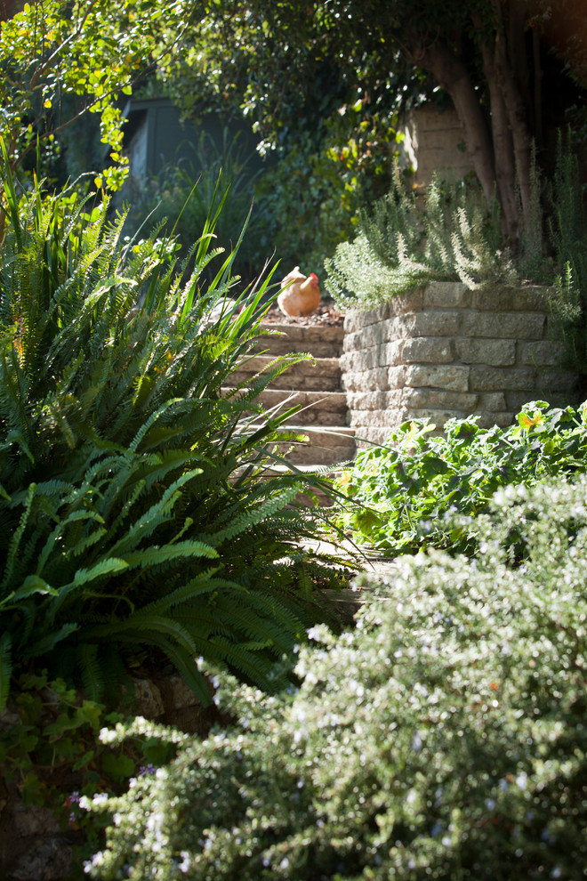 Inspiration for a transitional garden in Los Angeles.